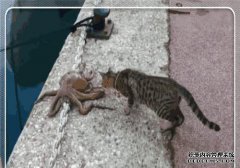 [field:title/]