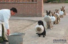 [field:title/]