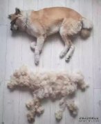 [field:title/]